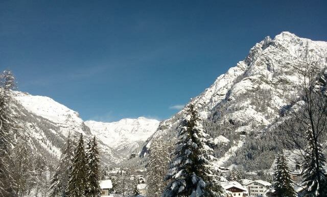 Larici vista invernale sul monte Rosa dalla casa